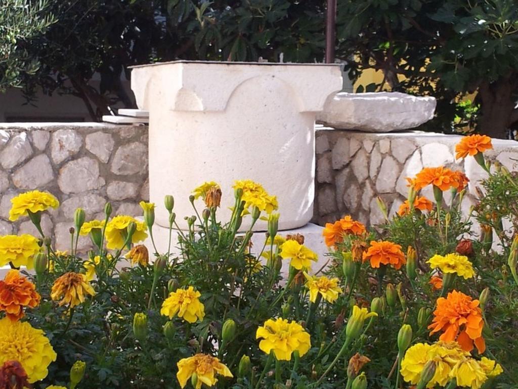 Apartments Franjo Mali Lošinj Zewnętrze zdjęcie